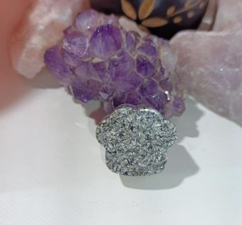 Orgonite Footprint Pet copeaux d'aluminium 10 gr.