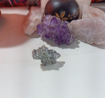 Petit Dinosaure Orgonite 8 gr. Modèle 2