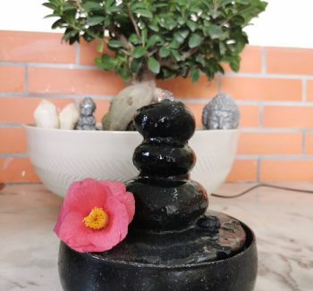 Fontaine à eau Protection 5G