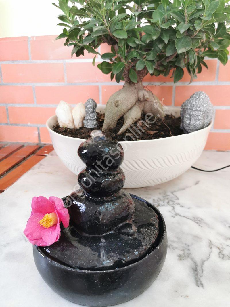 Fontaine à eau Protection 5G - Imagen 3