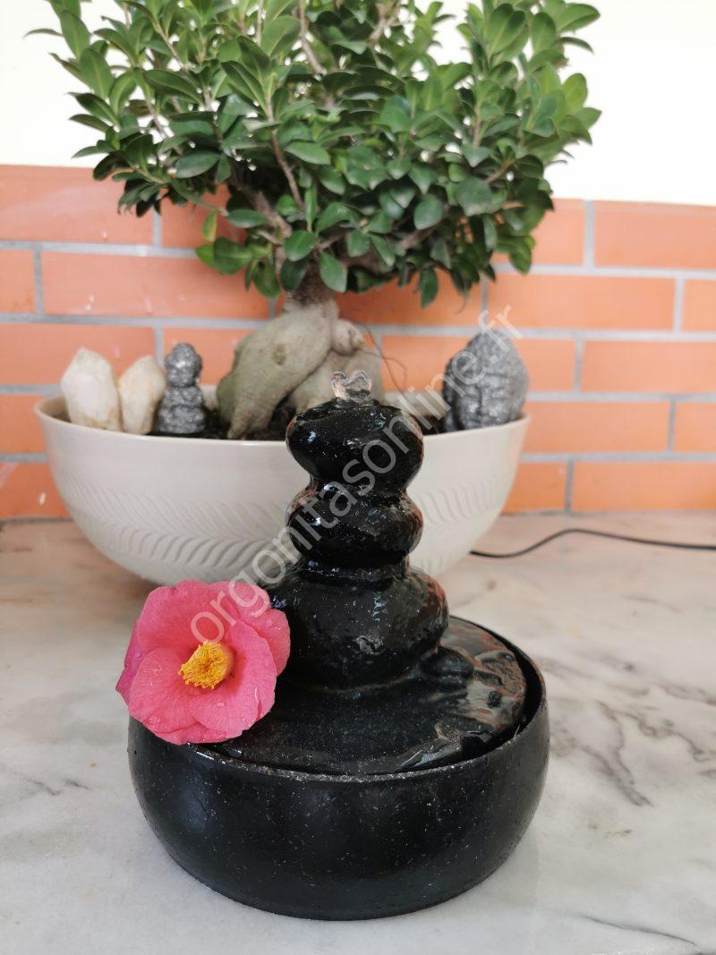 Fontaine à eau Protection 5G - Imagen 4