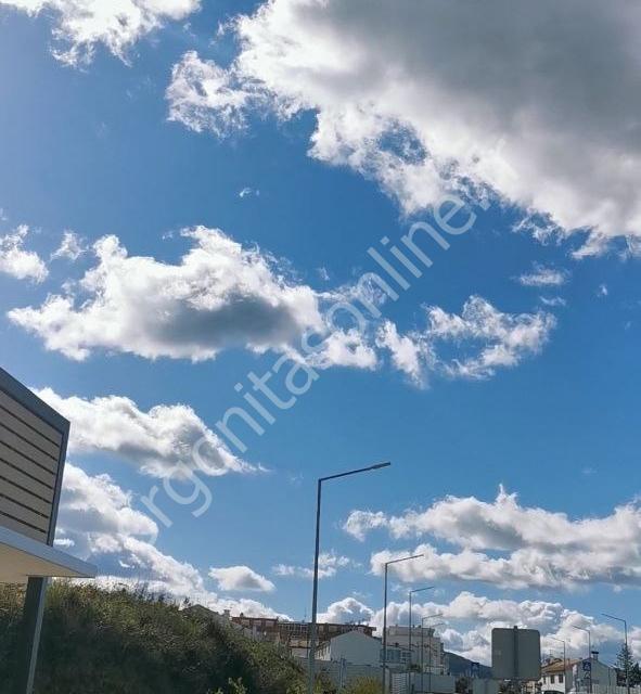 Zones bien ORGONisées. Orgone vers le haut.