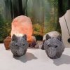 Loup. Grosse Tête 850 gr. orgonite-électronite - Imagen 6